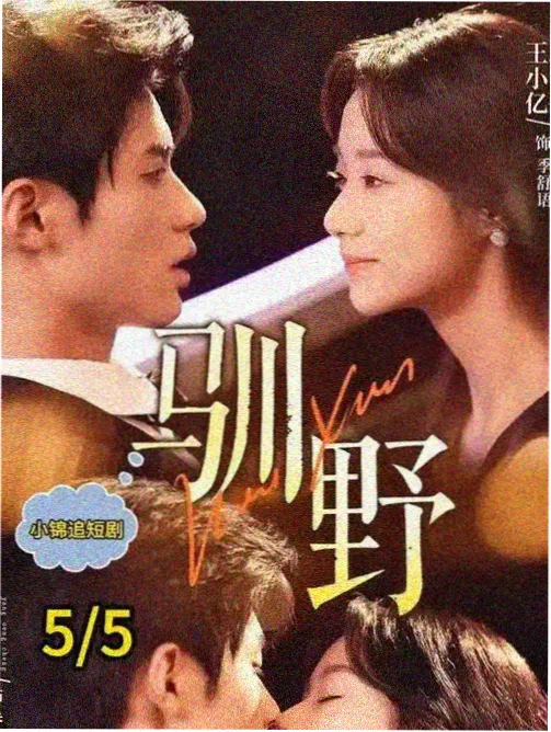 综艺频道栏目入口封面